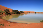 Das Vlei unberührt