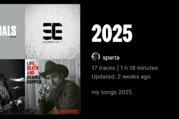The Deezer header for my playlist 2025