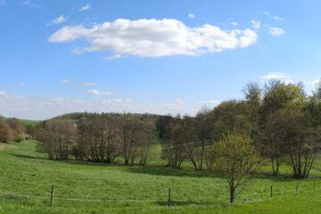 Panorama view of a small valley with meadows, trees, the sky and some clouds