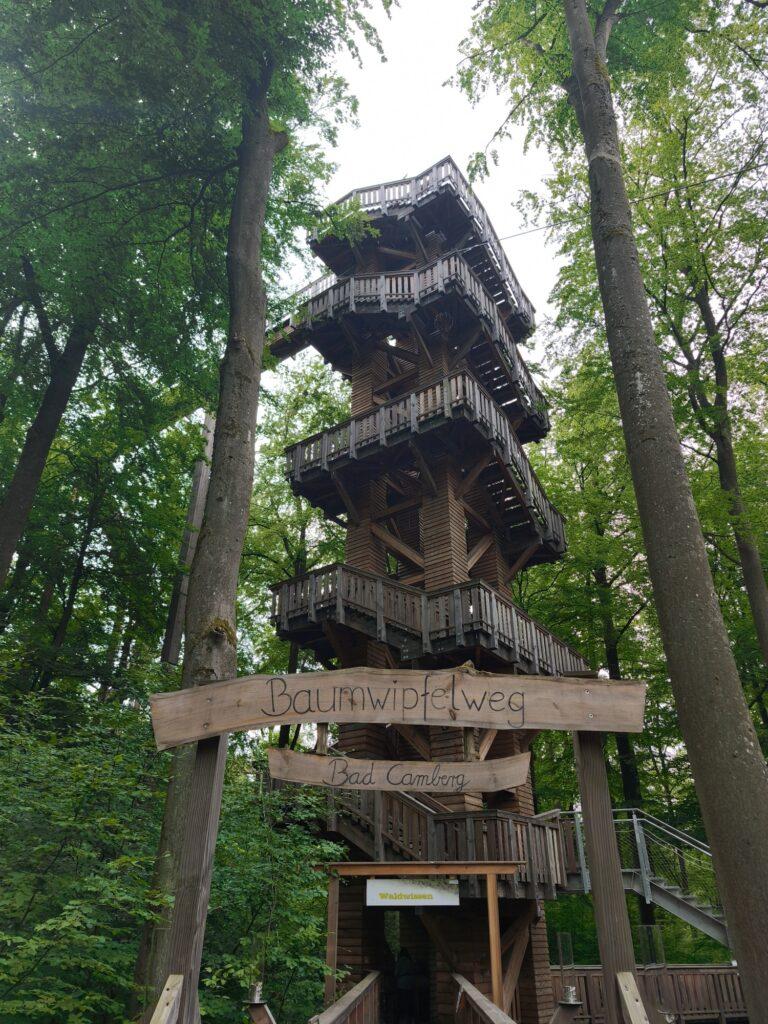 Der zentrale Turm des Baumwipfelwegs mit Schild und Treppenaufgängen