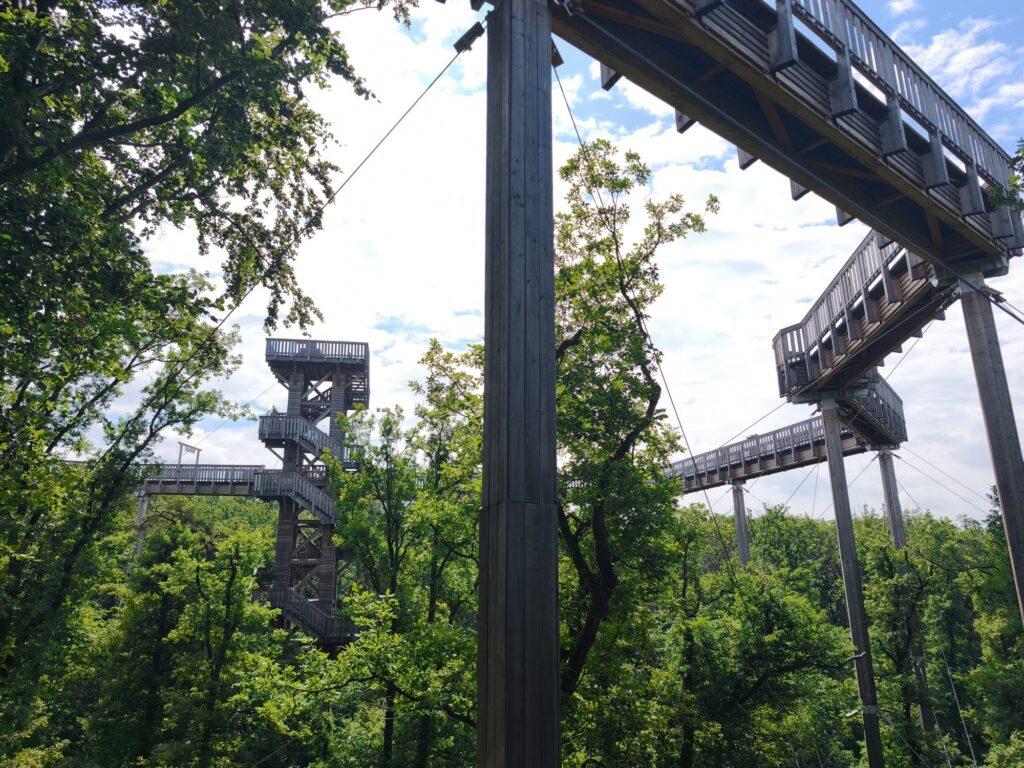 Baumwipfelweg von Unten mit Pfosten, Halteseilen und Turm