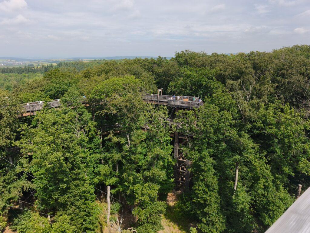 Ausschnitt vom Baumwipfelweg mit Fundamentturm und Bäumen