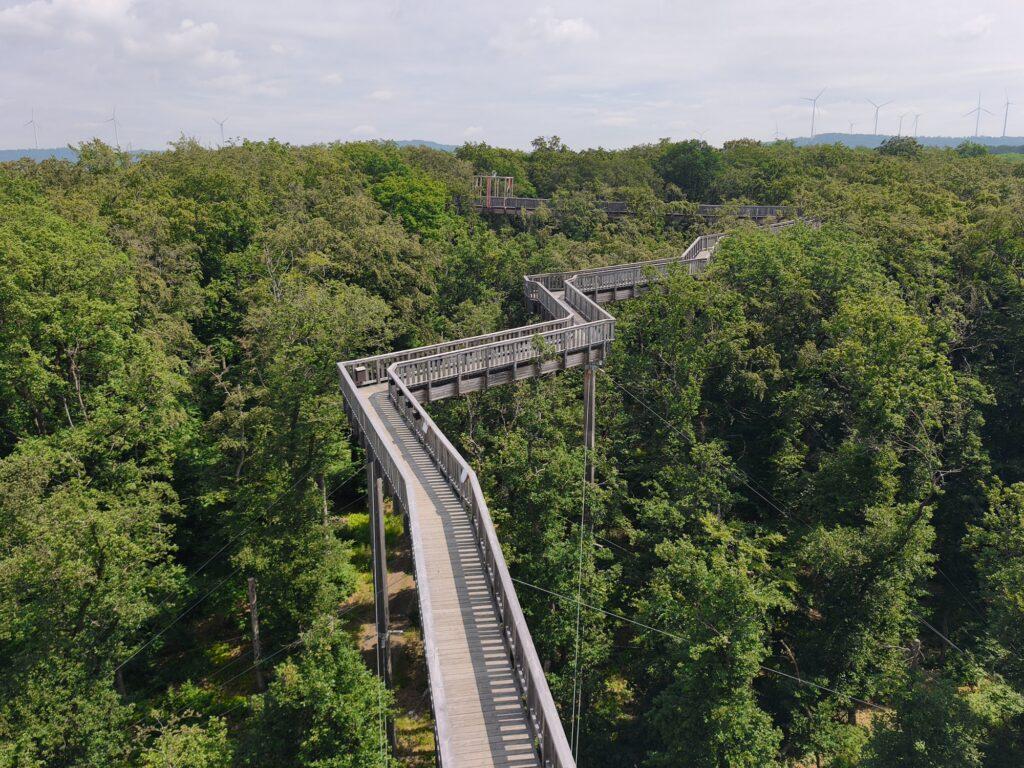 Baumwipfelweg, der sich im Zickzack durch die Baumkronen schlängelt