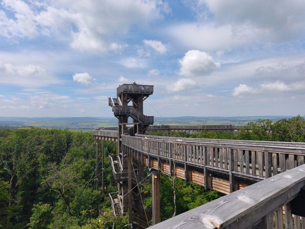 Baumwipfelweg mit Aussichtsturm