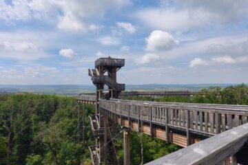 Baumwipfelweg mit Aussichtsturm